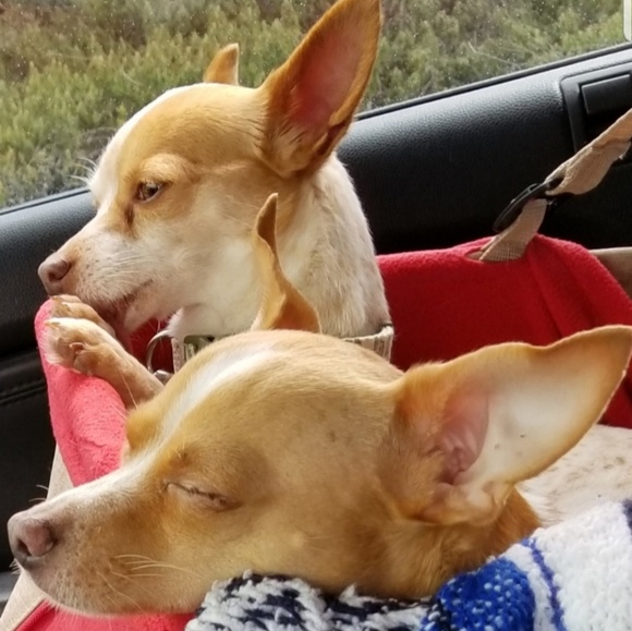 About Me - Picture 1 of 1